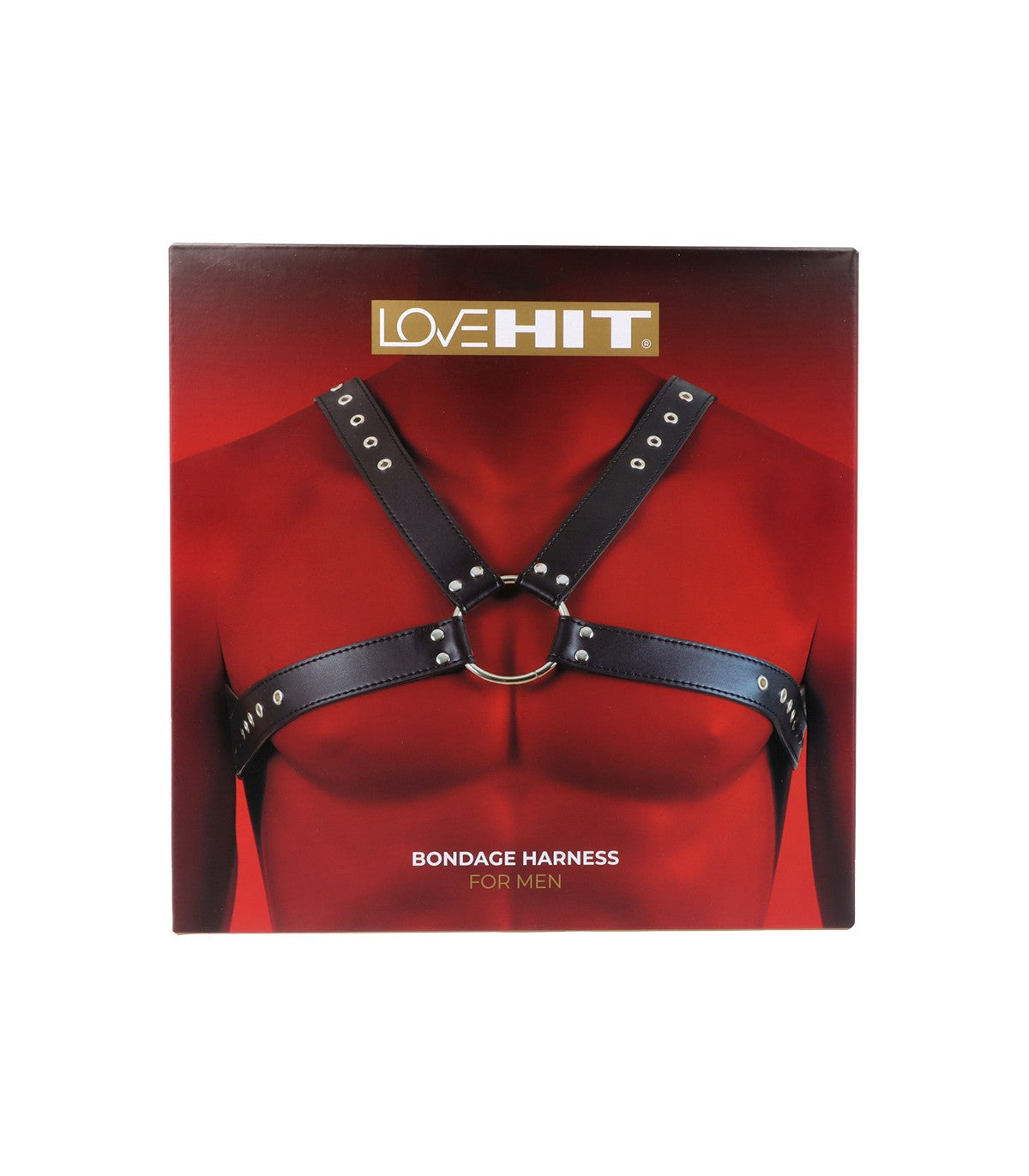Harnais poitrine homme