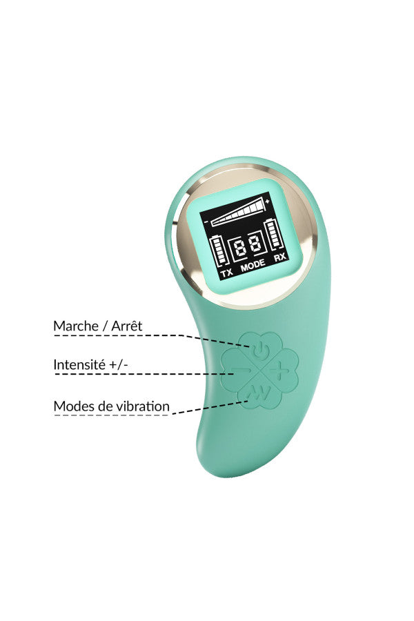 Oeuf vibrant avec télécommande sans fil à éran digital ( Mina )