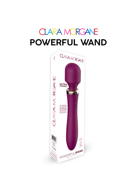 Stimulateur clitoridien (powerful wand)