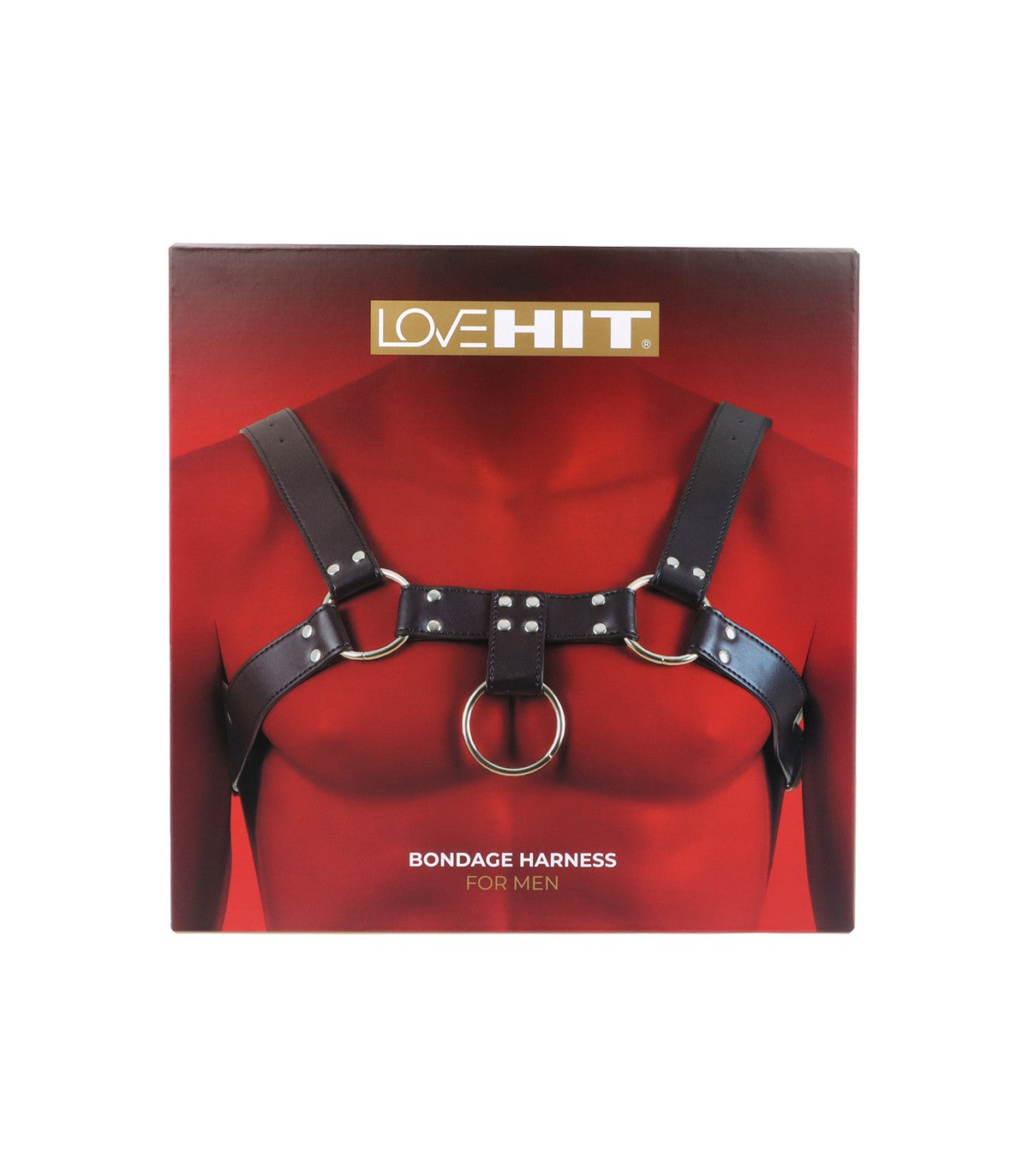 Harnais poitrine homme