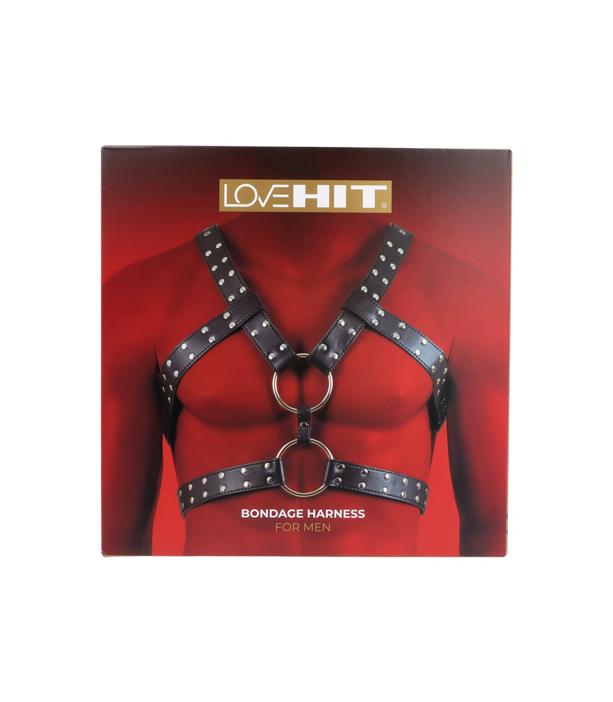 Harnais poitrine homme