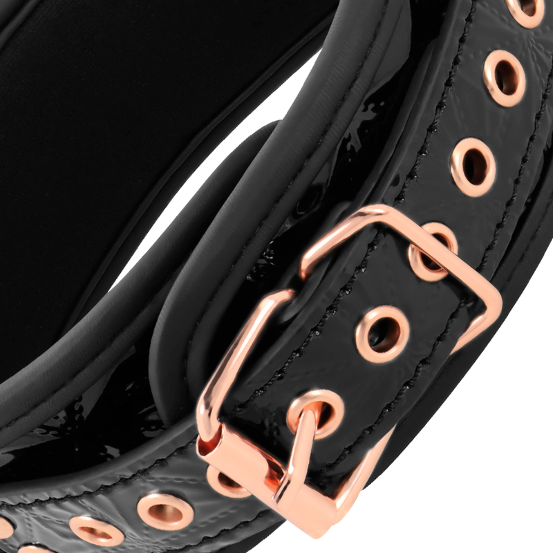 Collier avec laisse en cuir vegan