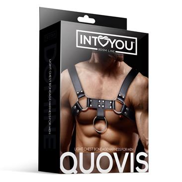 Harnais poitrine  homme ( Quovis )