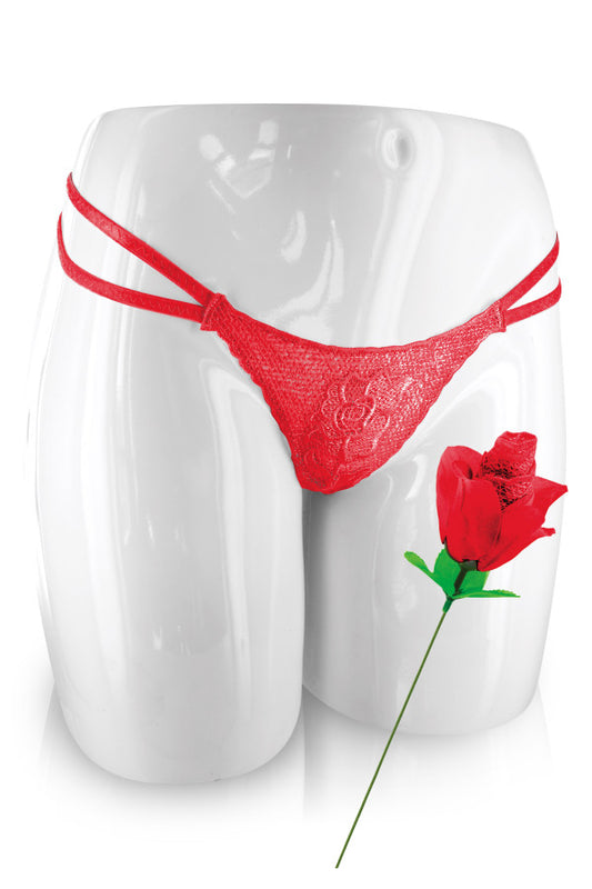 Culotte